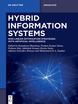 cover image of Hybrid Information Systems